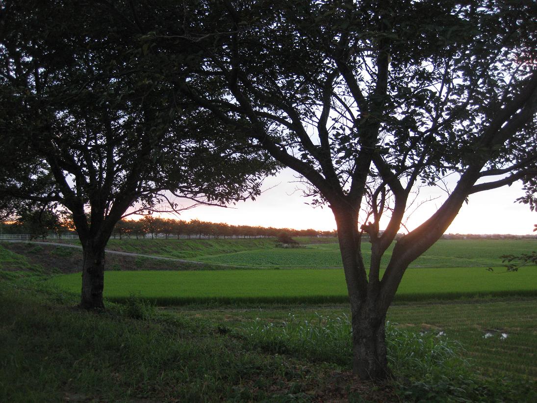 f0179209_1124372.jpg