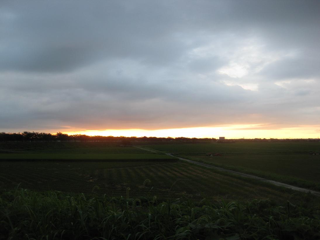 f0179209_118529.jpg