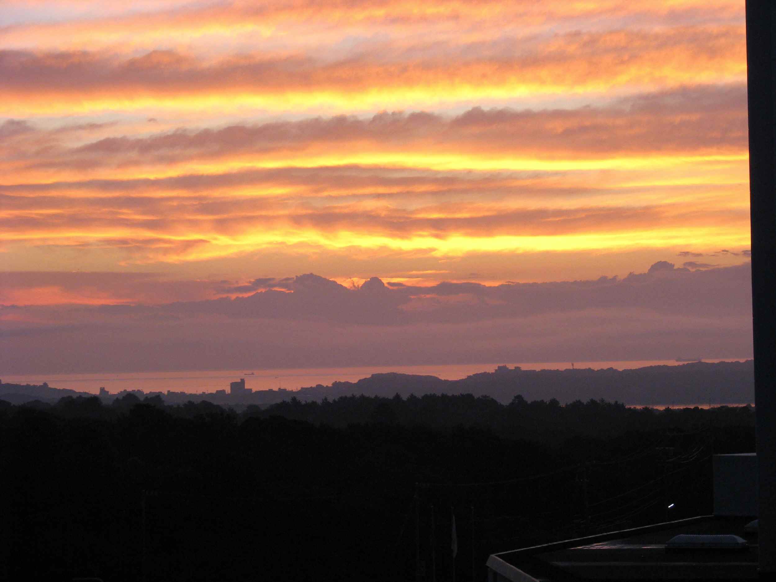 e0080110_21585399.jpg