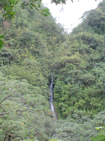 b0184211_9573970.jpg