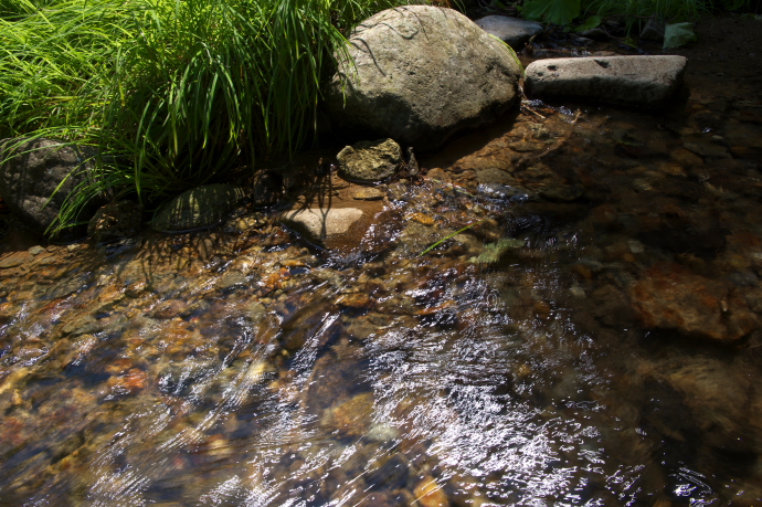 e0121814_29345.jpg