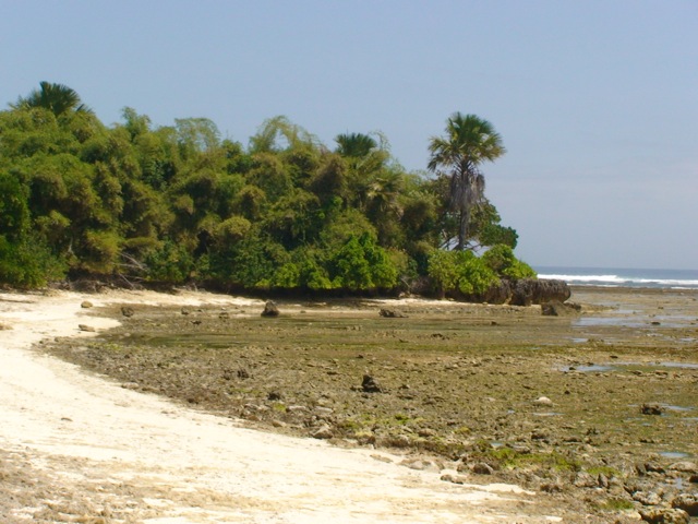 f0116314_19161533.jpg