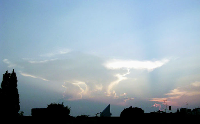 f0036716_23443678.jpg