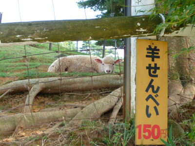 b0019820_1953660.jpg