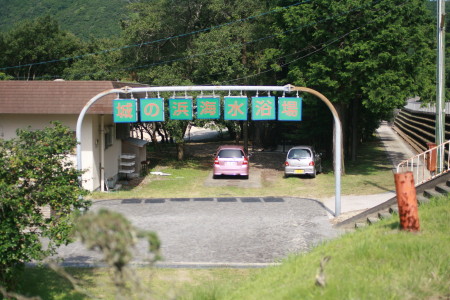 f0097620_1354477.jpg