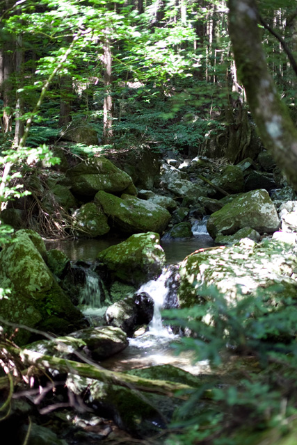 c0064025_22285210.jpg