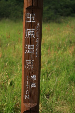 c0104227_18374114.jpg