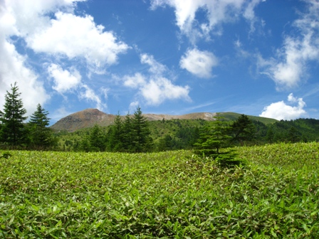 d0130927_22353542.jpg