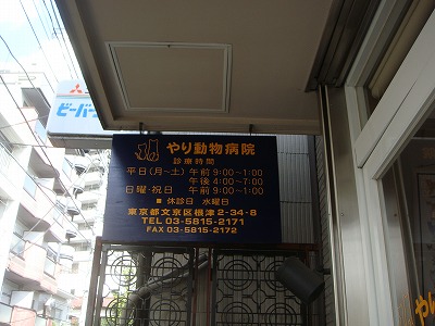 c0078428_132525.jpg