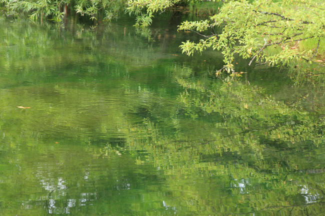 f0017530_20465374.jpg