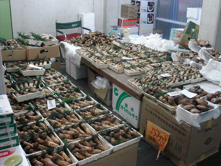 f0208737_8262159.jpg