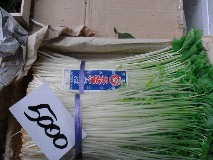f0208737_8404413.jpg