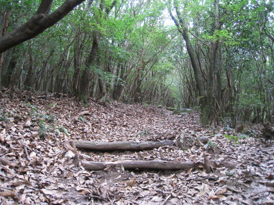 c0077338_650999.jpg