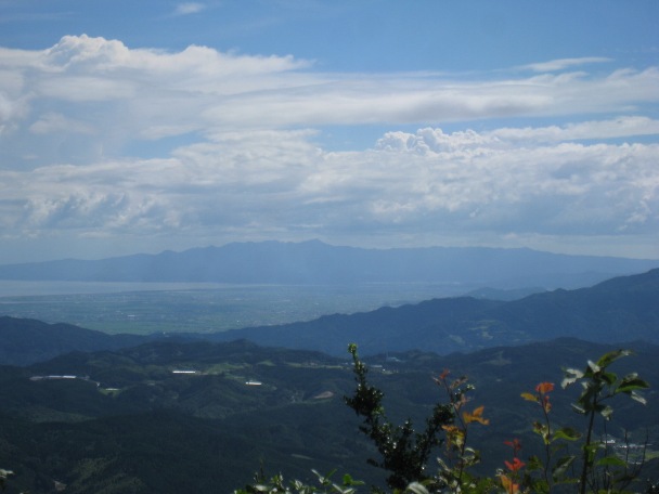 c0077338_656131.jpg