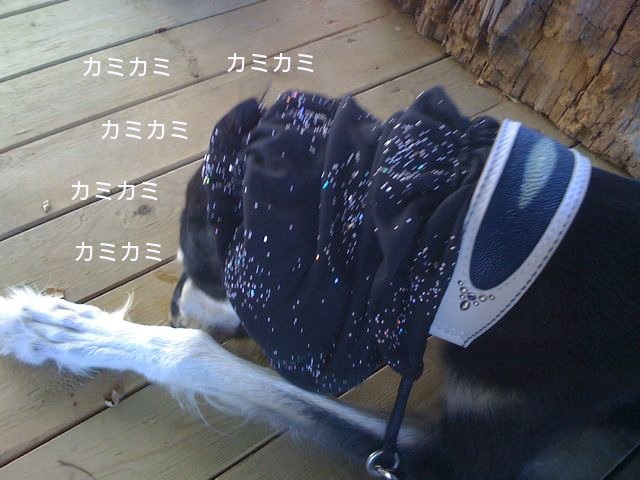 f0039538_22203721.jpg