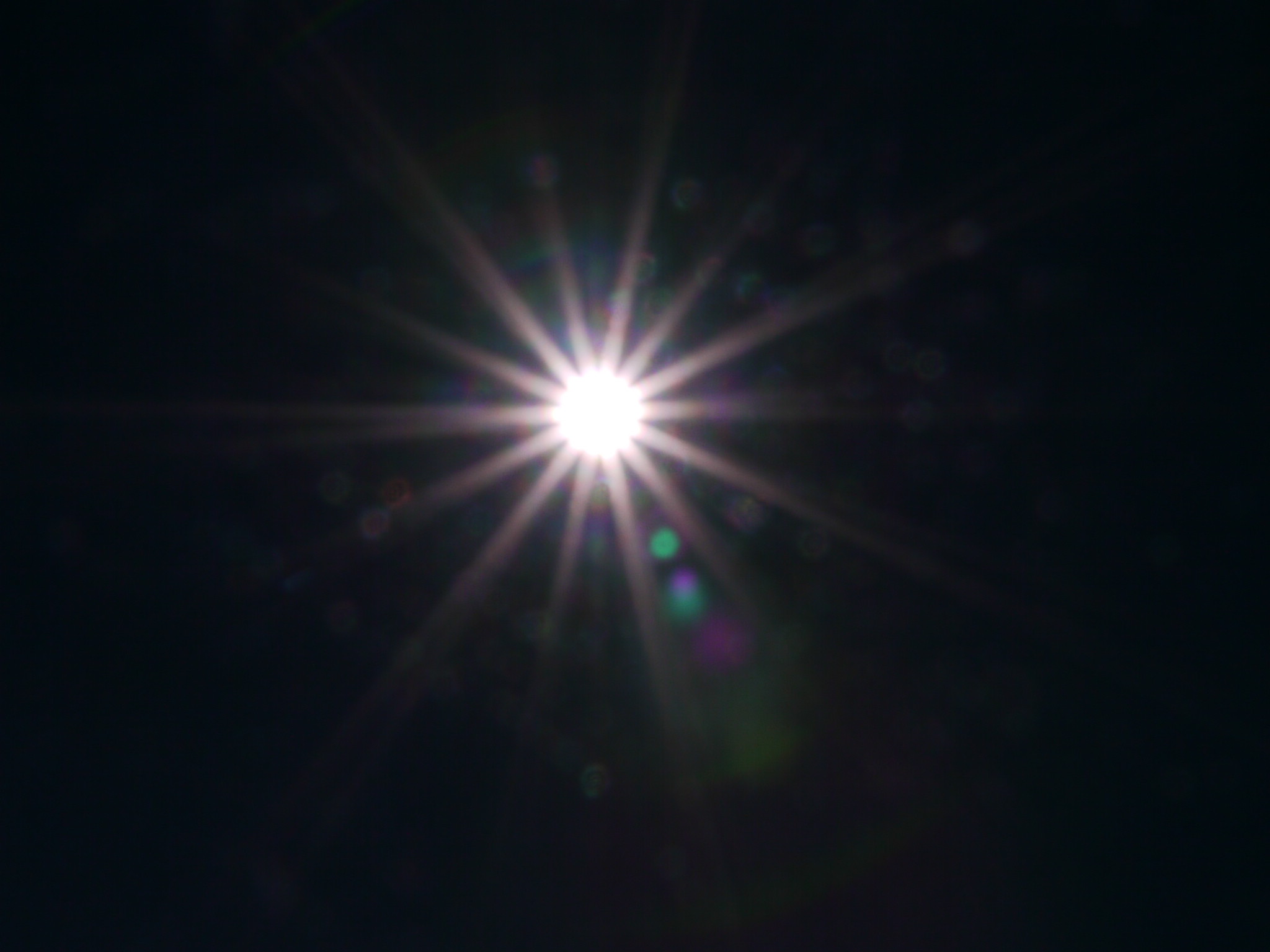 b0190242_12461956.jpg