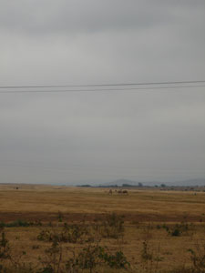 c0192346_17283745.jpg