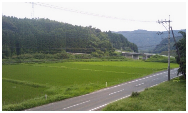 e0196546_22123165.jpg