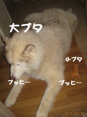 e0121548_17271835.jpg