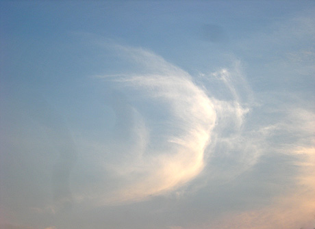 a0001354_21111128.jpg