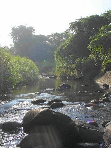 b0177355_22432597.jpg