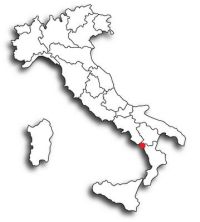 d0017567_7101488.jpg