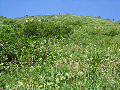d0094868_7381739.gif