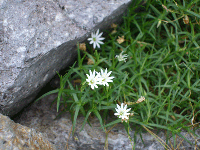 d0094868_7391084.gif