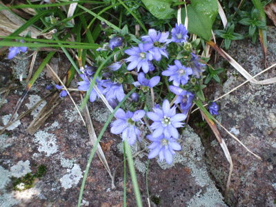 d0094868_7403283.gif