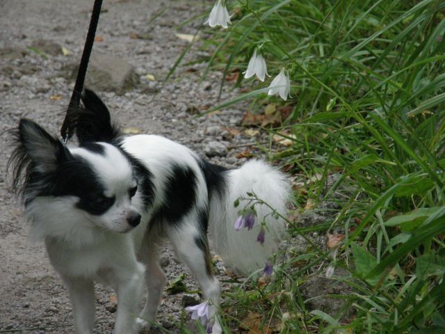 c0042869_1930176.jpg