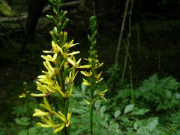c0042869_19355419.jpg