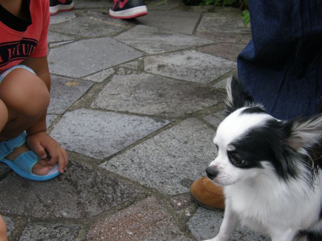 c0042869_19375628.jpg