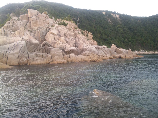 a0120877_1072070.jpg
