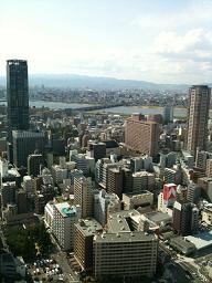 f0149083_0351280.jpg