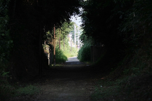 e0190885_19551779.jpg