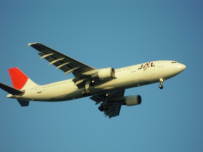 d0044986_7471859.jpg