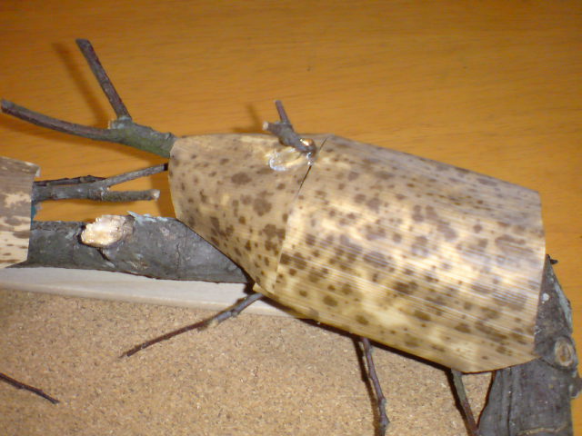 a0089790_21492318.jpg