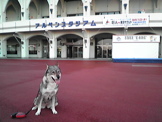 f0079202_1842492.jpg