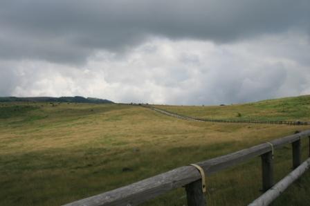 f0187704_21392492.jpg