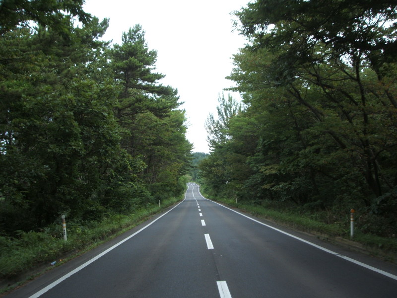 a0116205_2317456.jpg