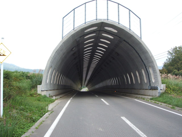 a0116205_2319211.jpg