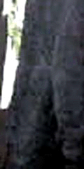 e0103408_13594752.gif