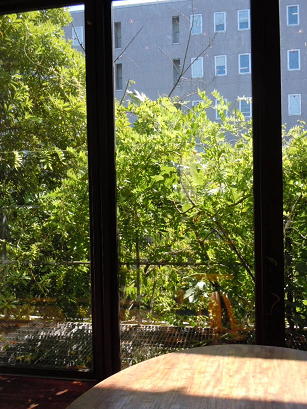 c0101913_15255540.jpg