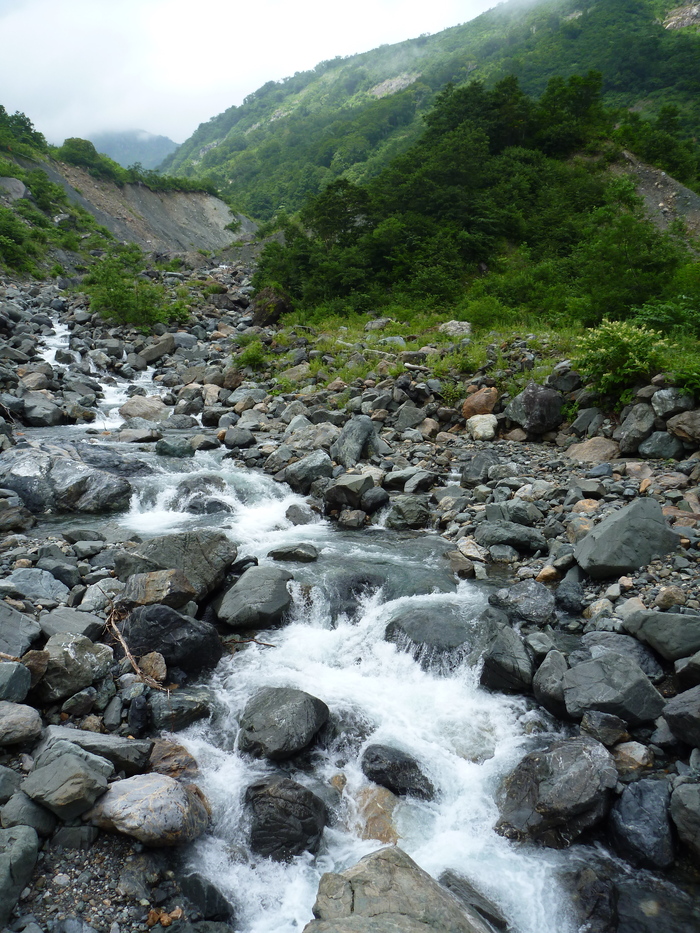 f0225414_012542.jpg