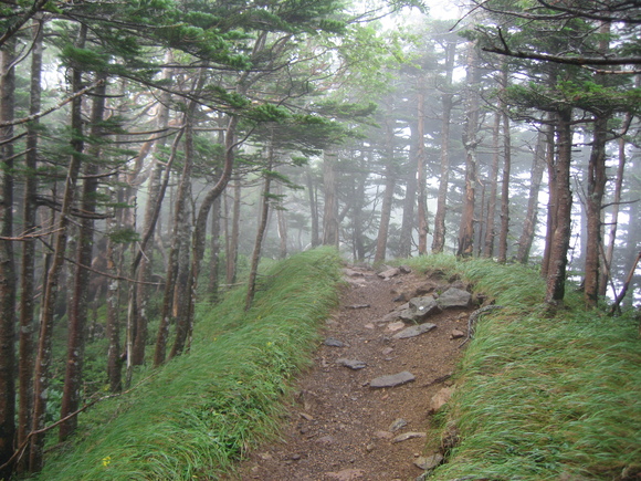 b0093515_7433998.jpg