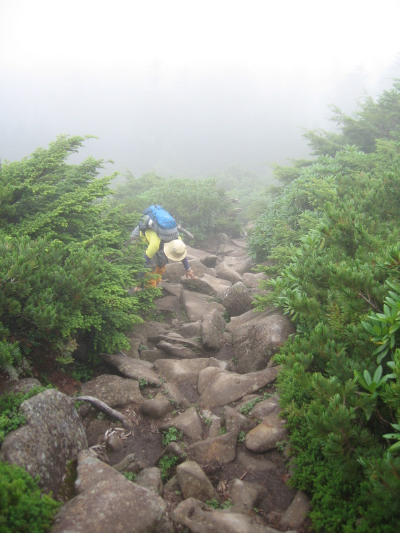 b0093515_7444337.jpg