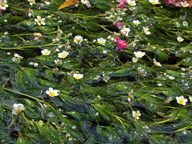 d0008715_0453146.jpg