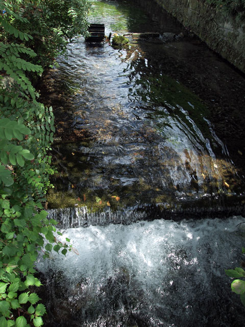 d0008715_0472812.jpg
