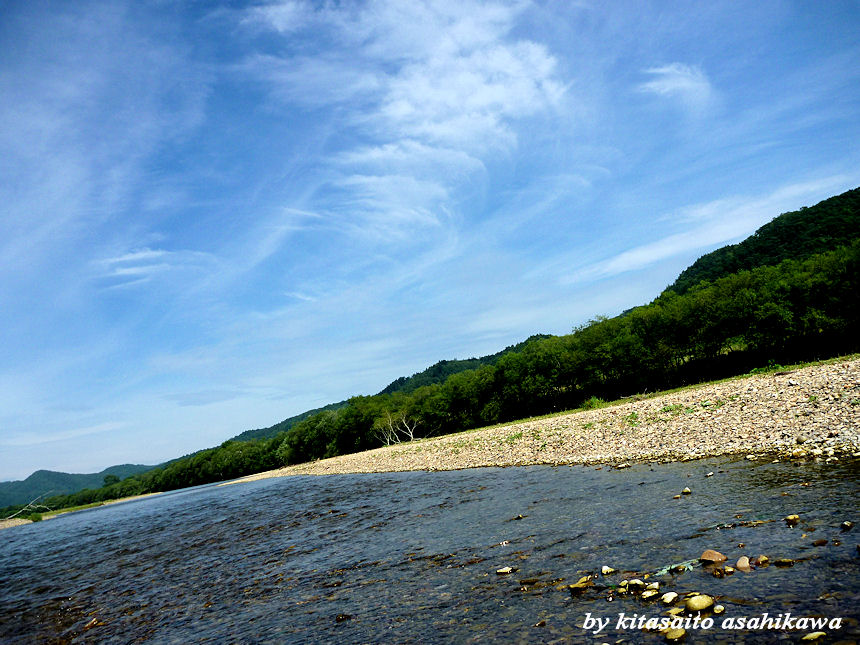 f0153018_5351050.jpg