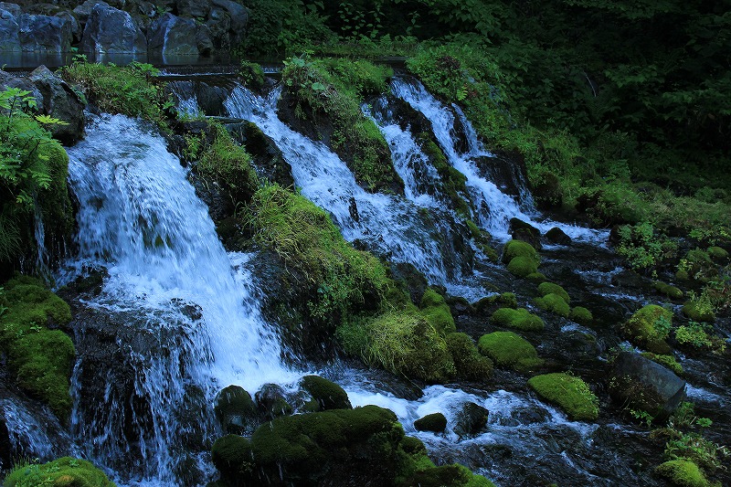 f0238919_16212342.jpg